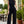 Load image into Gallery viewer, High Neck Jumpsuit - Black
